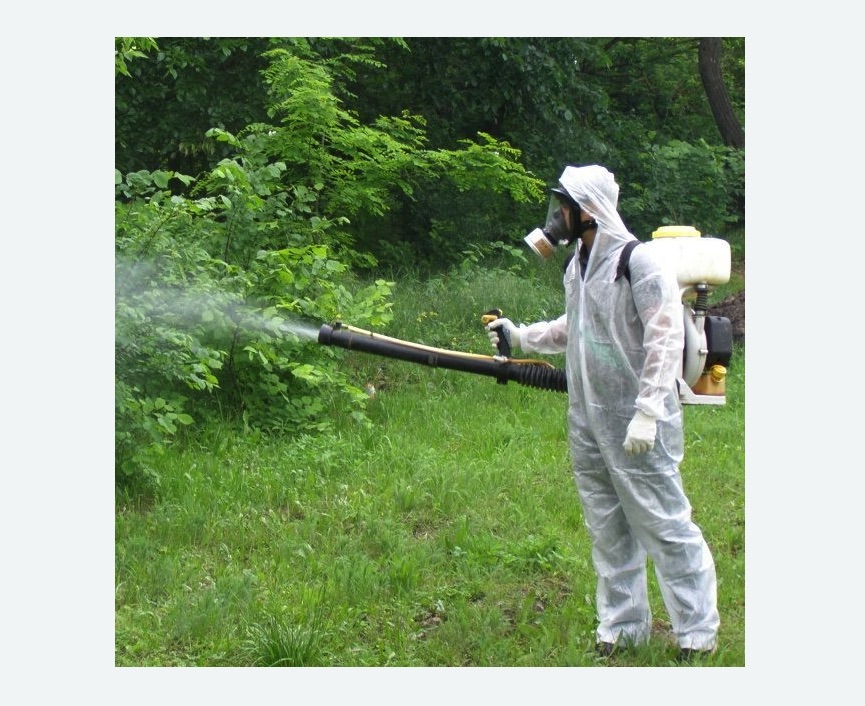 обработка территории от клещей в Великих Луках