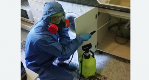 Уничтожение муравьев в квартире. Великие Луки