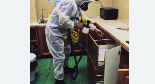 Уничтожение насекомых в квартире. Великие Луки