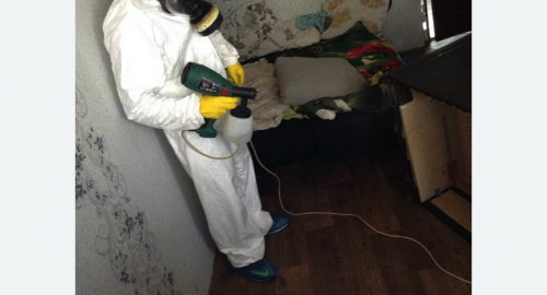 Обработка квартир от насекомых в Великих Луках