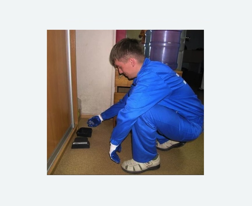 Дератизация крыс в Великих Луках