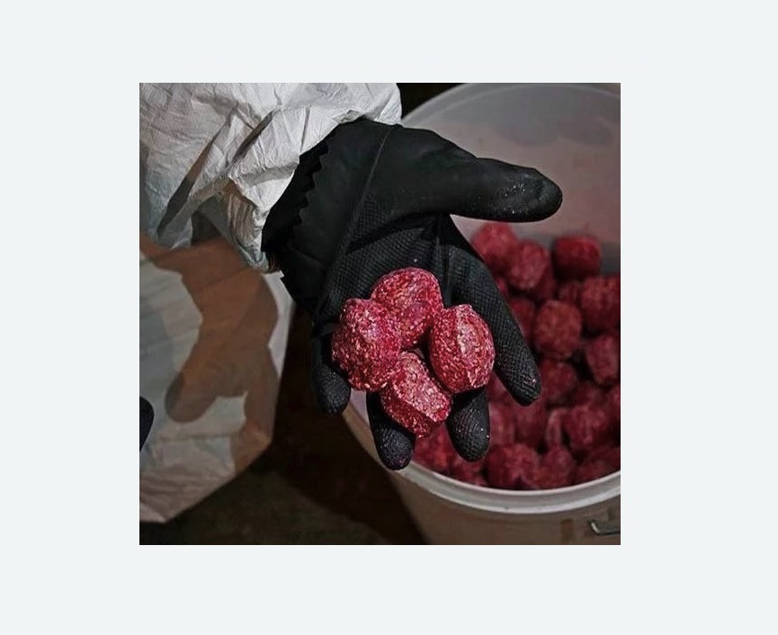 Обработка от крыс в Великих Луках