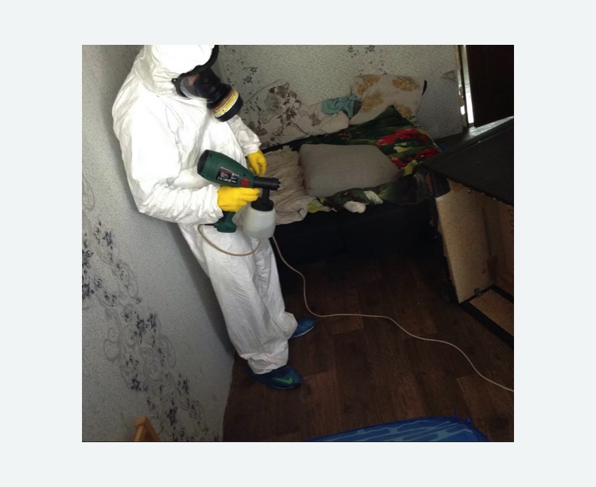 Обработка от насекомых в Великих Луках Обработка квартиры от насекомых