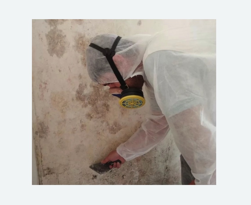 Обработка стен от плесени в Великих Луках