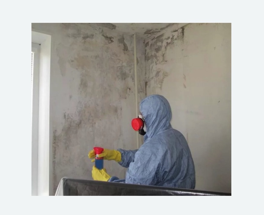 Удаление плесени в квартире в Великих Луках