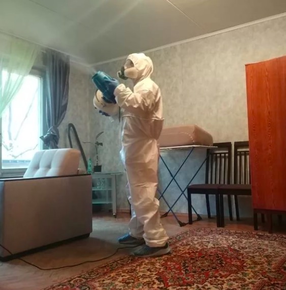 дезинсекция квартиры в Великих Луках