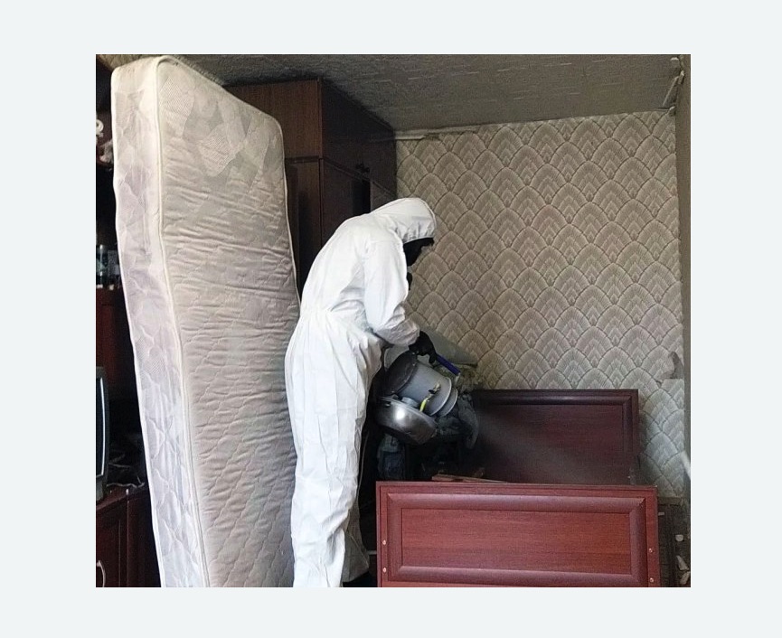 дезинфекция от клопов в Великих Луках