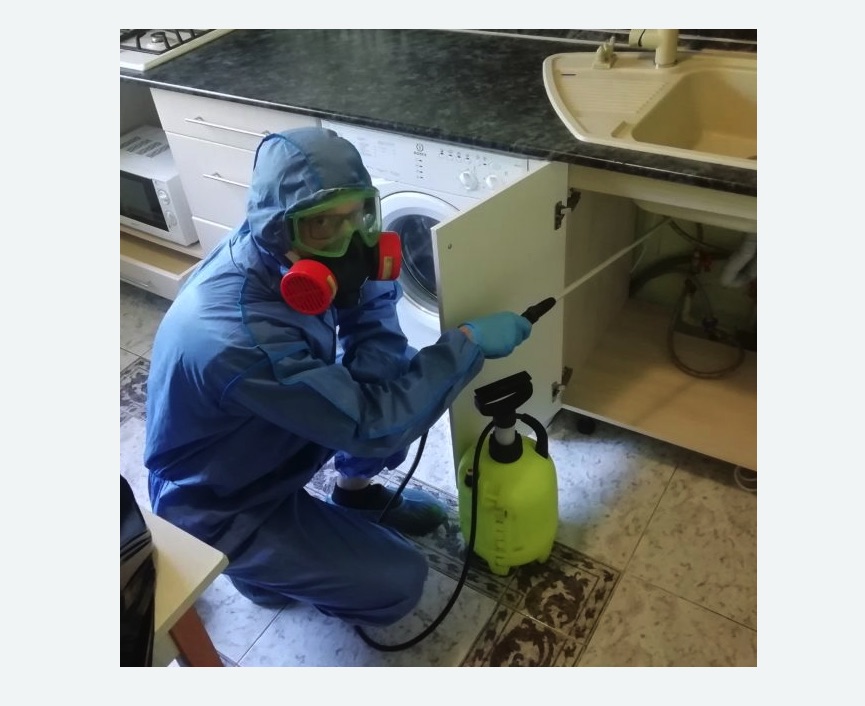 обработка от муравьев в квартире в Великих Луках