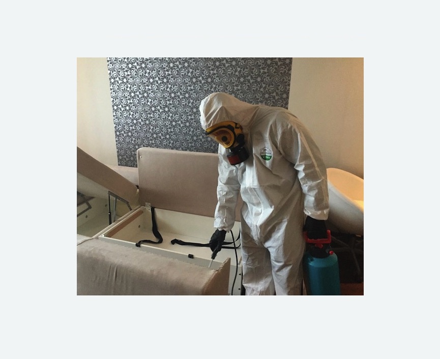 уничтожение клопов в квартире в Великих Луках