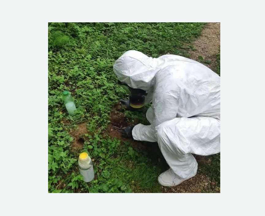 уничтожение кротов на участке в Великих Луках