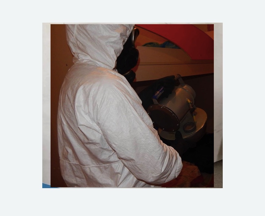 Дезинфекция от муравьев в Великих Луках