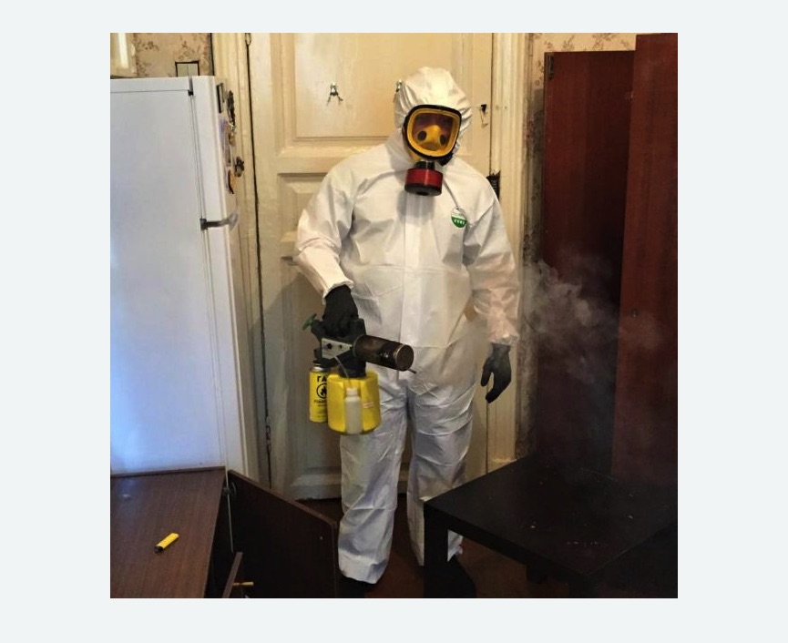 уничтожение муравьев в квартире в Великих Луках